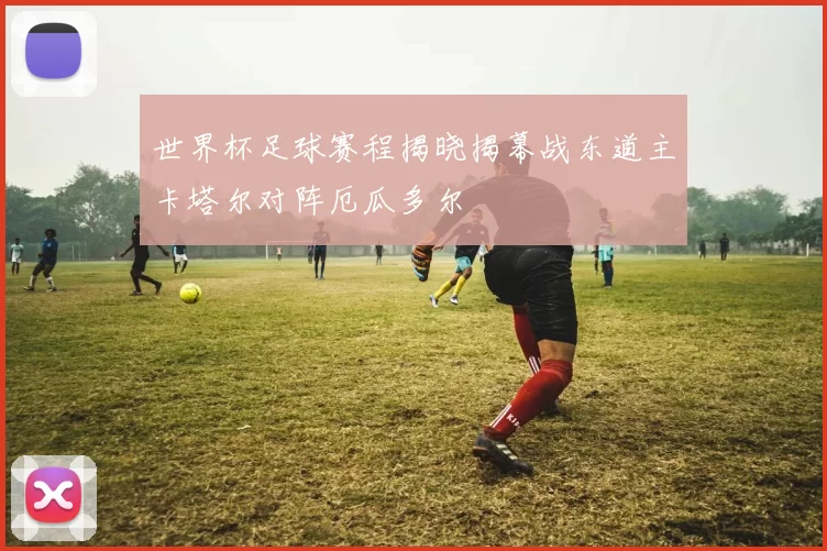 世界杯足球赛程揭晓揭幕战东道主卡塔尔对阵厄瓜多尔