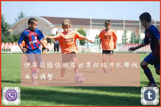 伊布因膝伤缺席世界杯瑞典队锋线面临调整