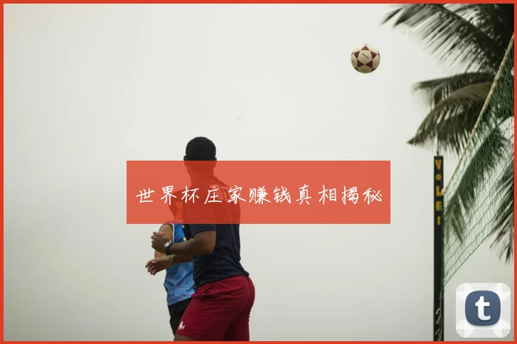 世界杯庄家赚钱真相揭秘