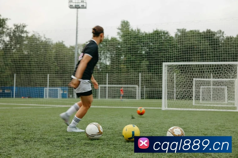 世界杯直播观看入口平台生态图